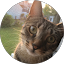 Sophia Martinez Avatar