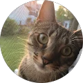 Sophia Martinez Avatar